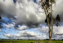 九游会：卡佩罗：安切洛蒂是世界最佳，因为他能带领不同球员踢出不同风格.