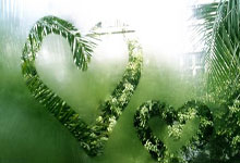 塔图姆31+12字母哥43+13 凯尔特人逆转胜雄鹿.