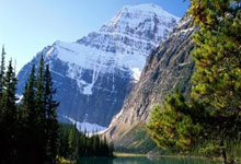 德天空：帕夫洛维奇正在努力复出，队医持续关注他以避免风险.