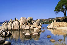 塔图姆31+12字母哥43+13 凯尔特人逆转胜雄鹿.